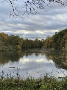 View of the Colwick Hall Lake from Colwick Park